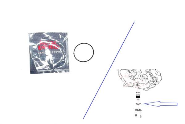 B43 O´Ring Tapa Filtro Tamiz o Maya 350 Multi-Modelos Accesorios