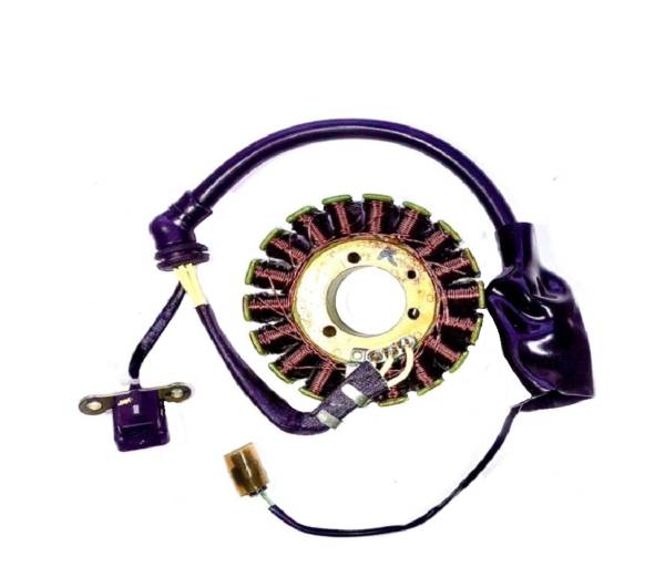 R28  Estator Original E4 411 Himalayan y Scram Accesorios